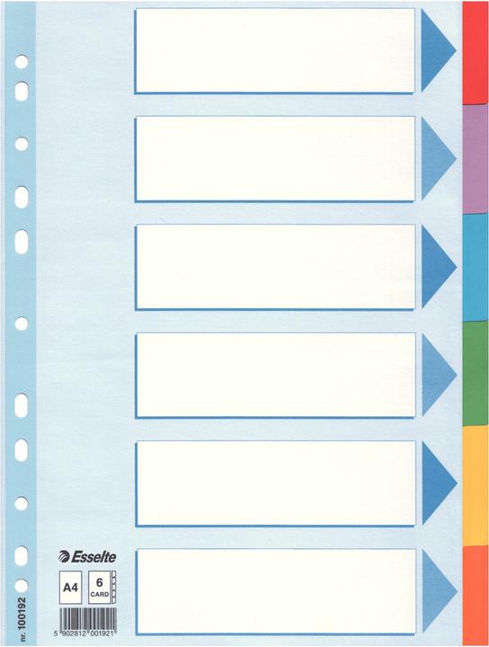 Esselte Register Karton