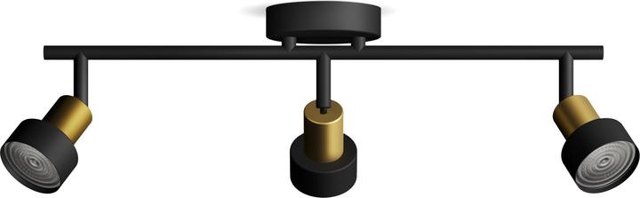 Image du produit Philips Conduit (GU10)