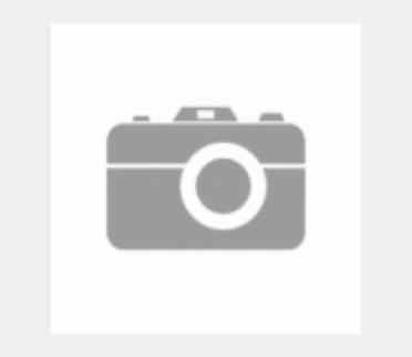 Actual product image Rowenta X-Force Flex 13.60 Animal Aerospin RH9AD1