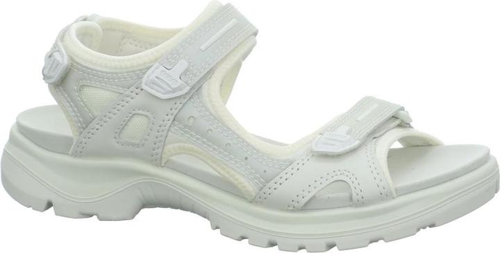 White, Iridescent