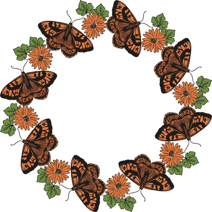 Produktbild Sizzix Clear Stamps Set "Nature Butterflies"