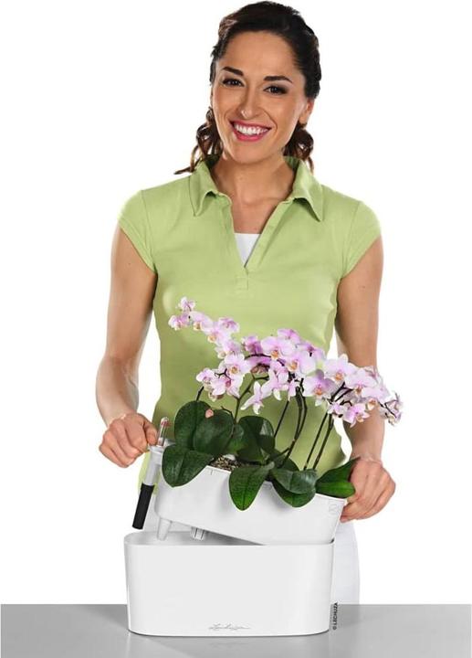 Produktbild Lechuza Delta (11 cm)