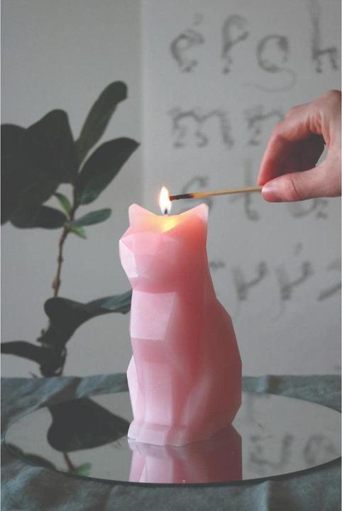 Produktbild 54Celsius PyroPet Kisa (1 Stk.)