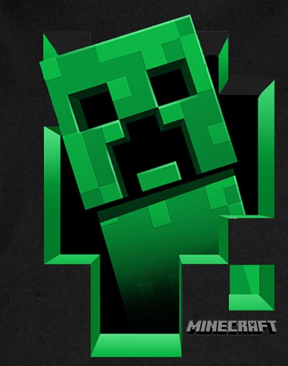 Immagine prodotto Minecraft Felpa interna con cappuccio (164)