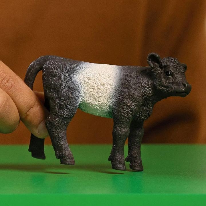 Image du produit Schleich Veau Galloway
