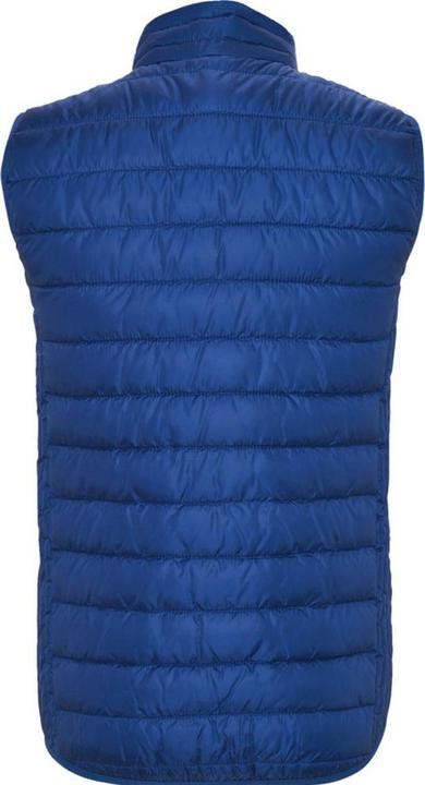 Actual product image Alpinia Childrens/Kids Oslo Insulated Body Warmer (152)