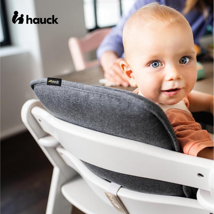 Actual product image Hauck Alpha cosy Select