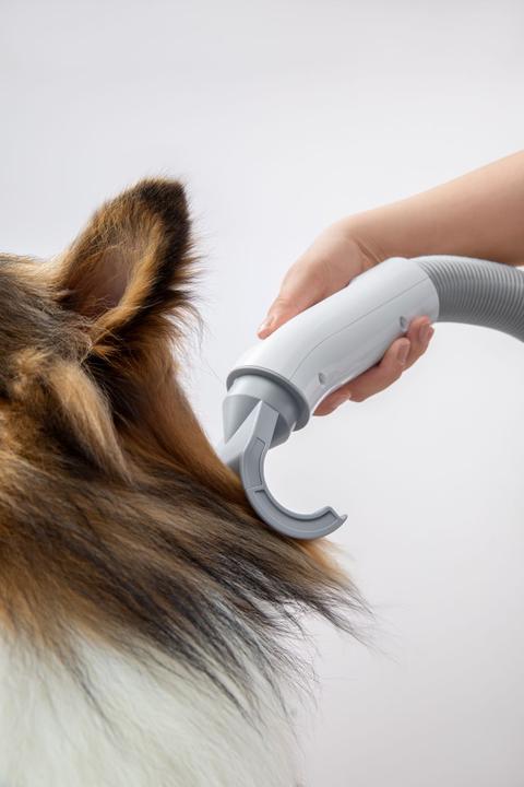 Actual product image HomeRunPet Pet hairdryer PD10 (Dog)
