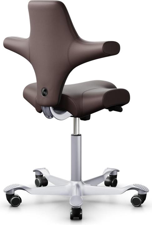 Actual product image HAG Capisco 8106