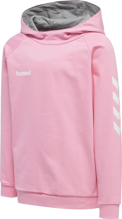 Actual product image hummel Go Kids Cotton Hoodie (176)
