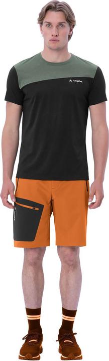 Actual product image Vaude Badile Shorts (M)