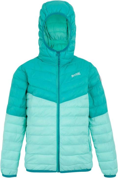 Actual product image Regatta Childrens/Kids Hillpack III Hooded Jacket (170, 176)