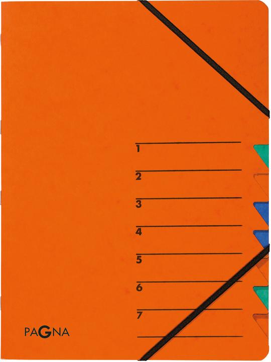 Actual product image Pagna Folder Easy (A4, 1 x)