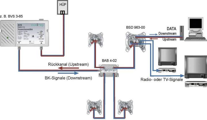 Actual product image Axing Cable TV Amplifier (Amplifier)