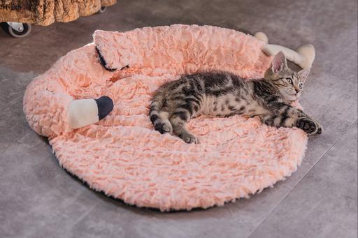 Immagine prodotto Beeztees Gattino gatto cuscino fenicottero Giba (Gatto)