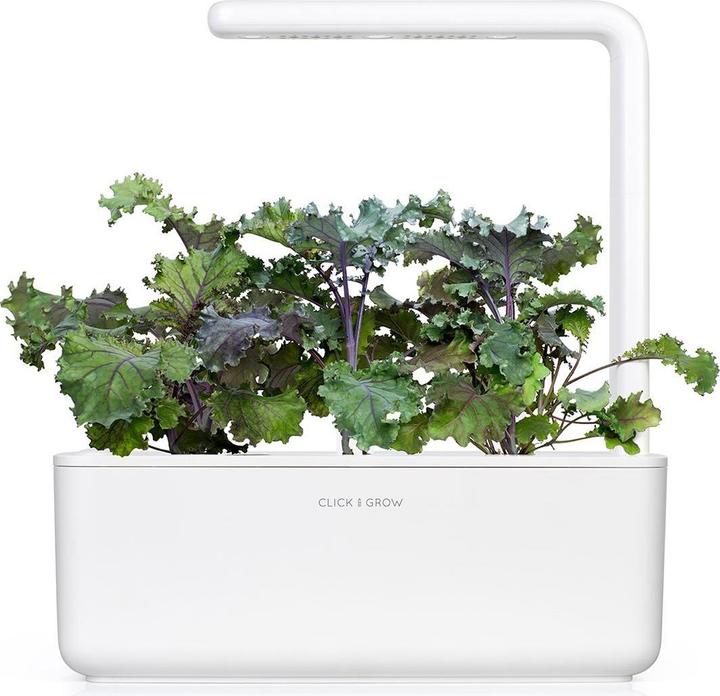 Produktbild Click and Grow Roter Kohl (Gemüsesamen)