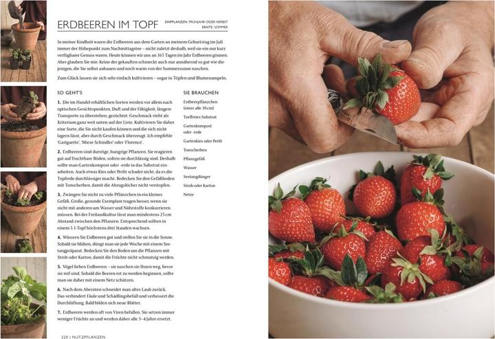 Actual product image Das Gartenbuch (German, Monty Don, 2024)