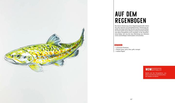 Produktbild Tiere zeichnen (2 Bücher im Bundle)