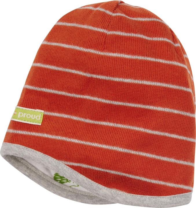 Actual product image loud + proud Reversible cap striped (62/68)