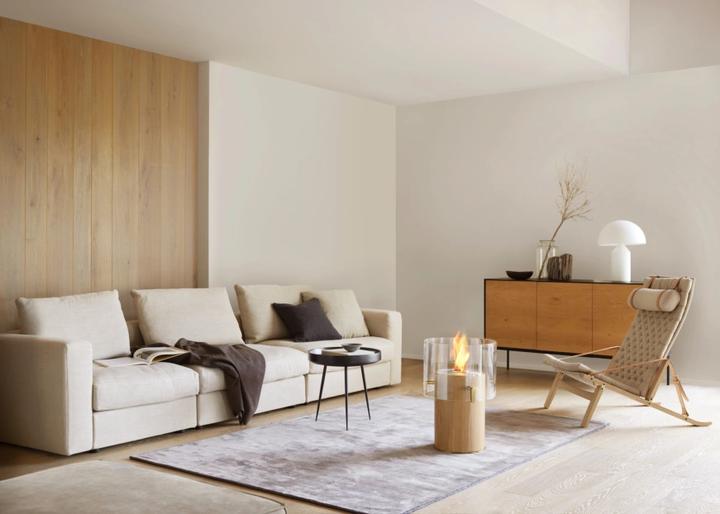 Immagine prodotto EcoSmart Fire Pillola 3t