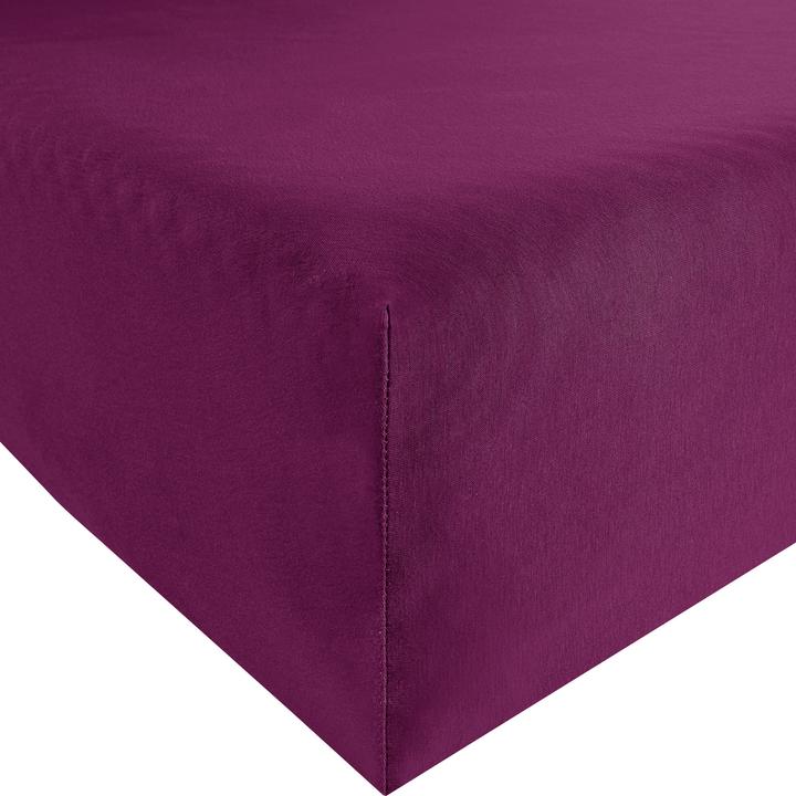 Aubergine