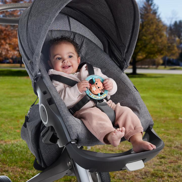 Produktbild Fisher-Price HRB21