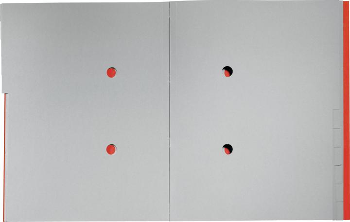 Immagine prodotto Leitz Cartella A4 riciclata rossa (A4, 1 x)