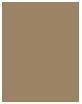 Actual product image Maybelline New York Brow Satin Duo (1 Dark Blonde)