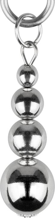 Image du produit Bedroom Fantasies Pinces pour Mamelons et Clitoris - Argent