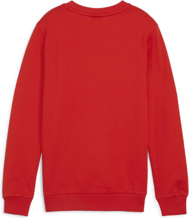 Produktbild Puma teamGOAL Casuals Crew Neck Sweat Jr (140)