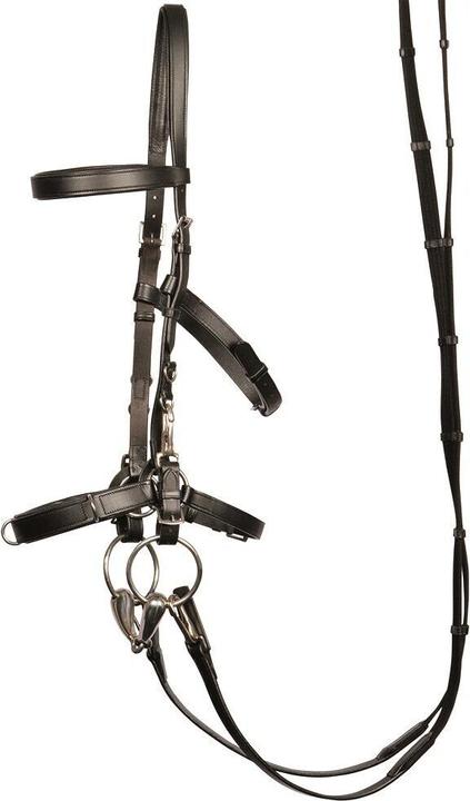 Image du produit Harry's Horse Caveçons cuir pour cheval