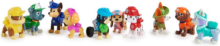 Actual product image Paw Patrol Action Pack Pups