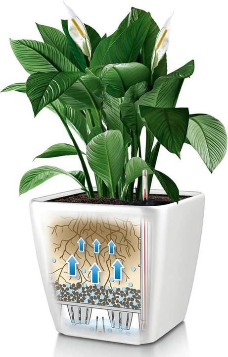 Produktbild Lechuza Quadro LS (35.50 cm)