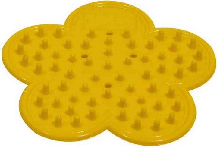 Actual product image Oasis Leaf and thorn remover