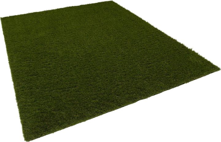 Actual product image Snapstyle Artificial turf Outdoor (200 x 300 cm)