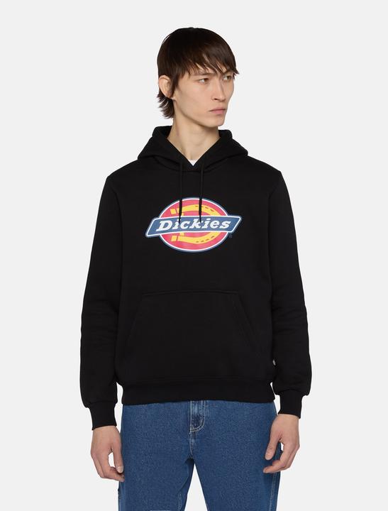 Image du produit Dickies Sweat à capuche Icon Logo (M)