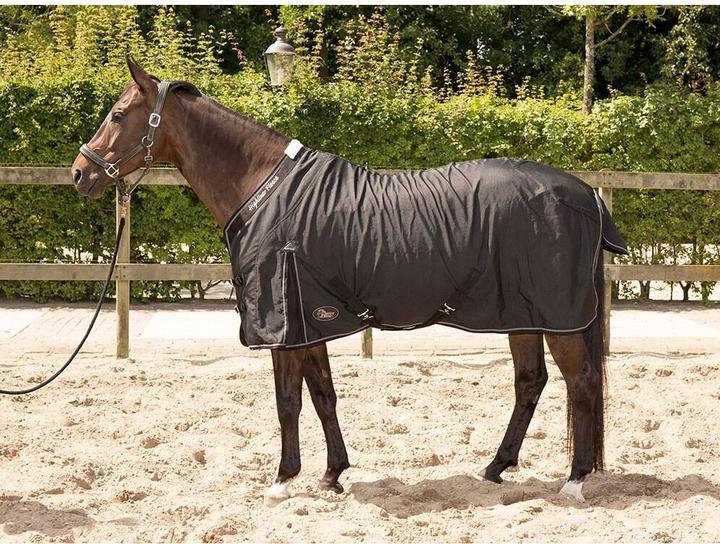 Actual product image Harry's Horse Highliner (215 cm)