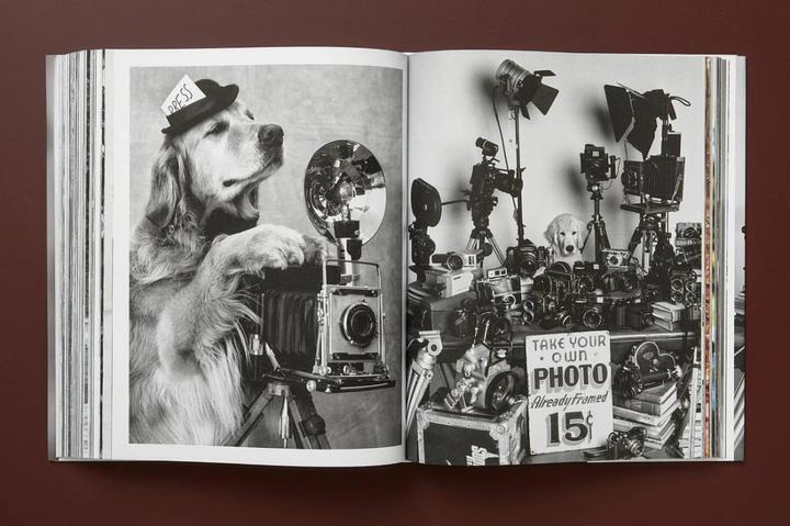 Produktbild Bruce Weber. The Golden Retriever Photographic Society (Deutsch, Französisch, Englisch, Jane Goodall, 2021)