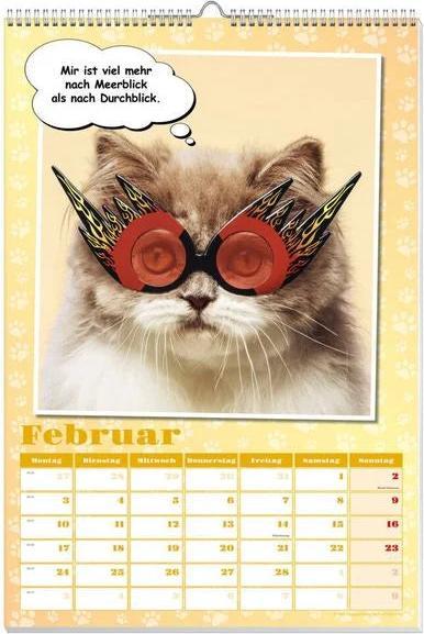 Produktbild Coole Katzen Posterkalender 2025 (Kein Einband, Deutsch)
