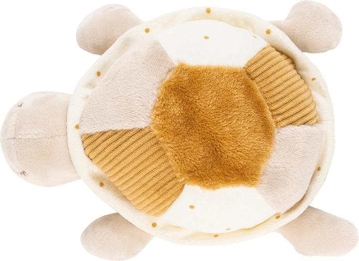 Actual product image Nattou Lapidou turtles with activities