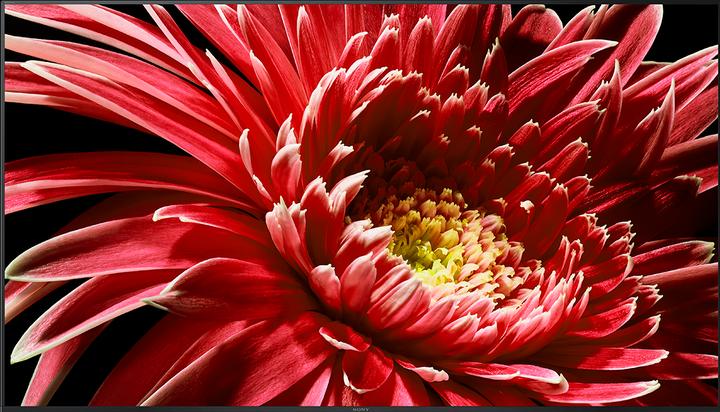 Actual product image Sony KD85XG8596 (85", LCD, 4K, 2019)