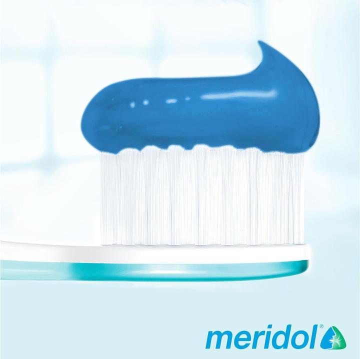 Actual product image Meridol Gum Protection & Fresh Breath (75 ml)