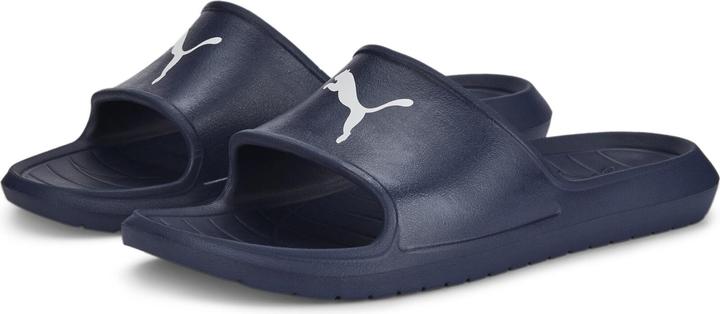 Puma Divecat v2 Lite Cat (40.5)