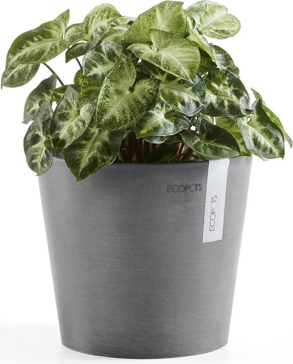 Actual product image Ecopots Amsterdam (50 cm)