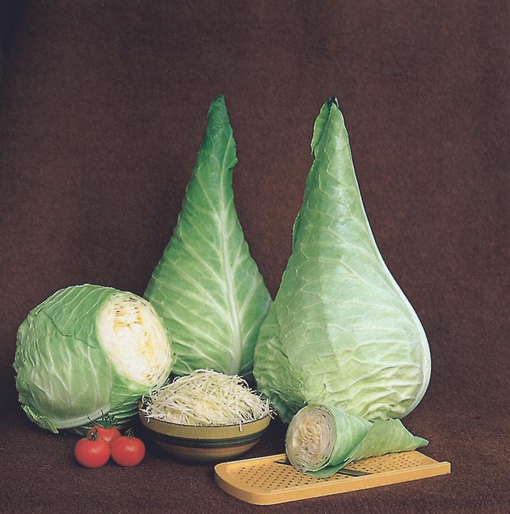 Actual product image Zollinger Bio White cabbage, Filderkraut (Vegetable seeds)