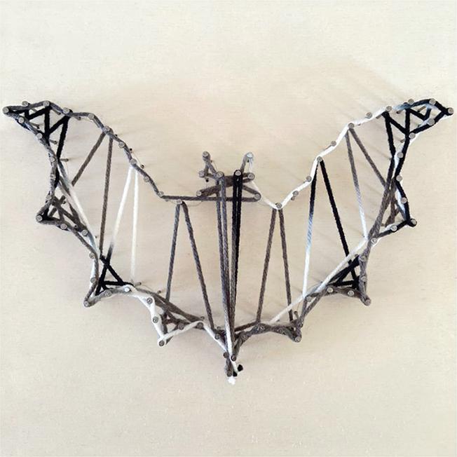 Actual product image Donau Nail picture "bat"