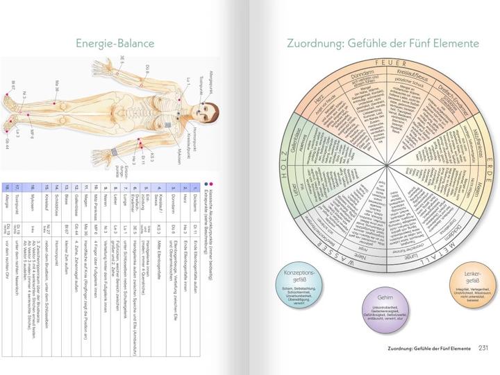 Actual product image Medizin zum Aufmalen: Heilen mit Zeichen und Symbolen. Das Basisbuch Neue Homöopathie (German, Roswitha Stark, 2025)