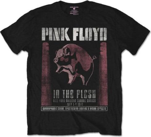 Pink Floyd In The Flesh