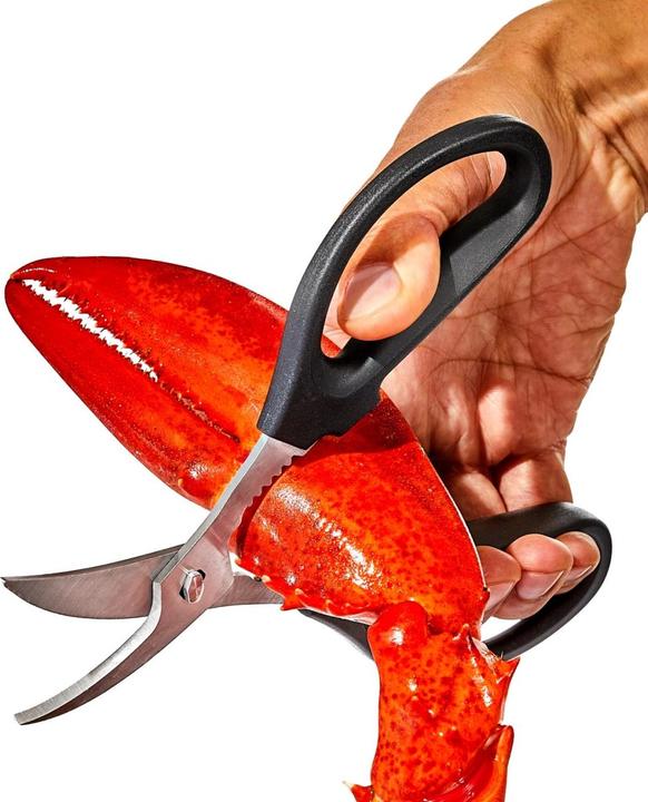 Image du produit OXO Ciseaux à fruits de mer GG (19.30 cm)