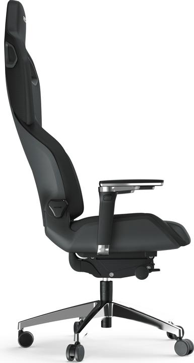 Actual product image RECARO Exo FX 2.0